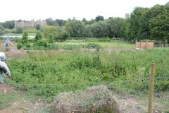 Community Garden