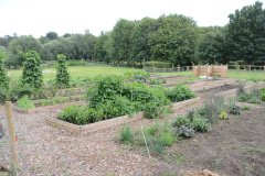 Community Garden