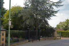 Cemetry