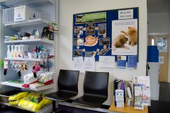 Castle Vets