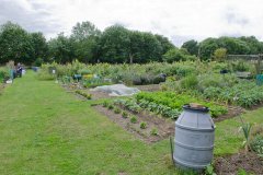 Allotments