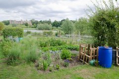 Allotments