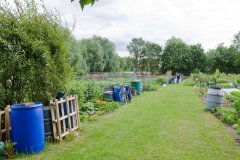 Allotments