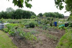 Allotments
