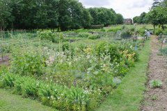 Allotments