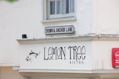 Lemon Tree