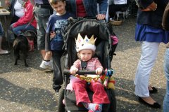 Royal Wedding 29th April 2011