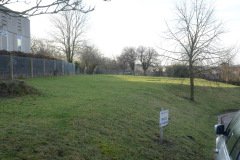 Mills Meadow