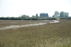 Dry Weather