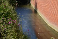 Dry Weather