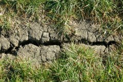 Dry Weather