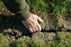 Dry Weather