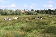 Framlingham views