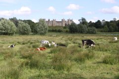 Framlingham views